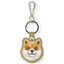 Nimmy Glasses Cool Dog dėklas lokalizatoriui - rudas -- Cell phone cases and covers