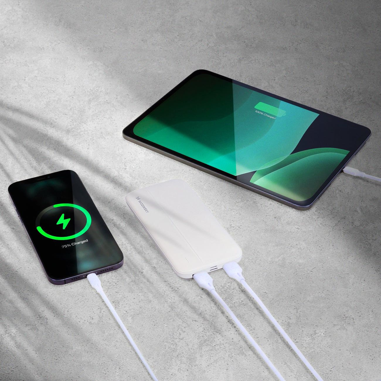 Wozinsky išorinė baterija Li-Po 10000mAh 2 x USB, balta (WPBWE1)