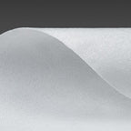Absorbentinis neaudinis pramoninis valymo skuduras ProfiSauber POWER 250 -- Uncategorized