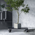 Orico CPB6 Kompiuterio Stovas su Ratukais - Juoda -- Uncategorized