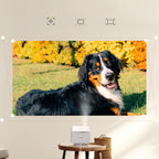 Yaber L2 Plus LCD FullHD 1080p multimedijos projektorius su JBL garsiakalbiais - Bežė -- Uncategorized