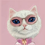 Nimmy Cool&Cute 2.0 Cat dėklas iPhone 17 – rožinis