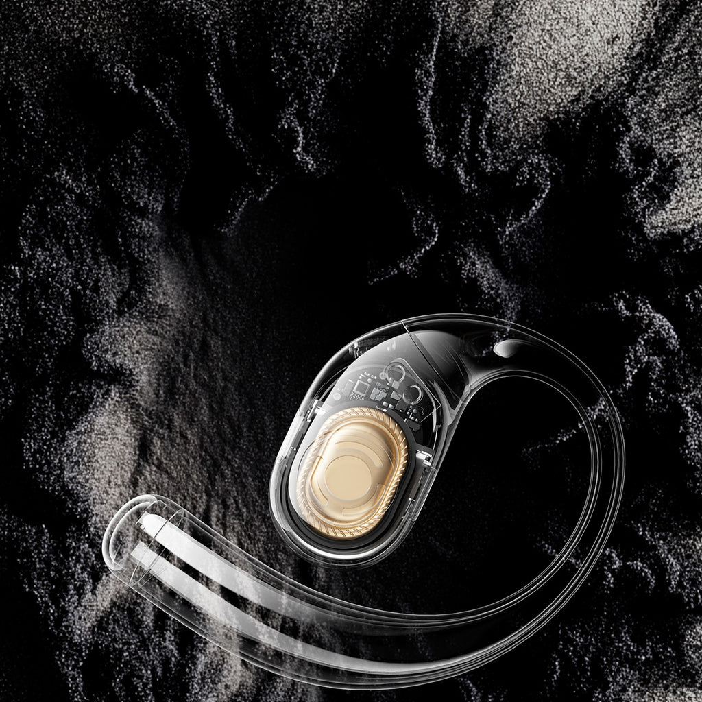 OWS QCY Crossky R70 LDAC IPX5 ausinės su ausų kabliukais – juodos