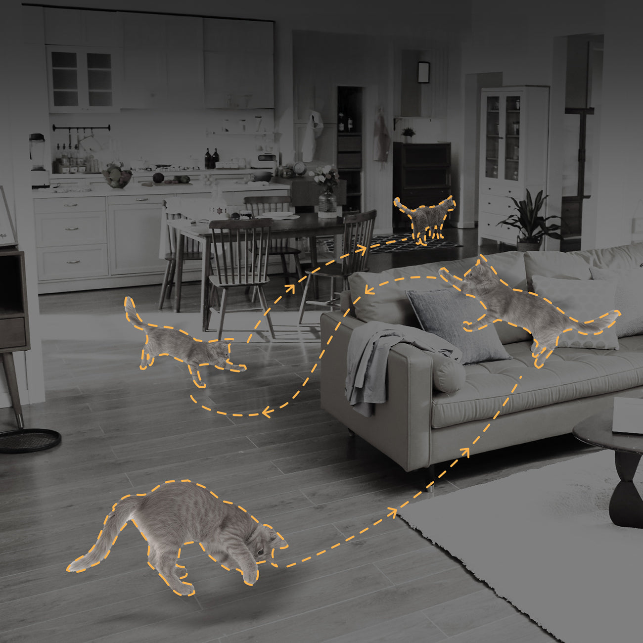 Dreame Navo Care SE 1 InCam vidaus kamera - balta -- Uncategorized