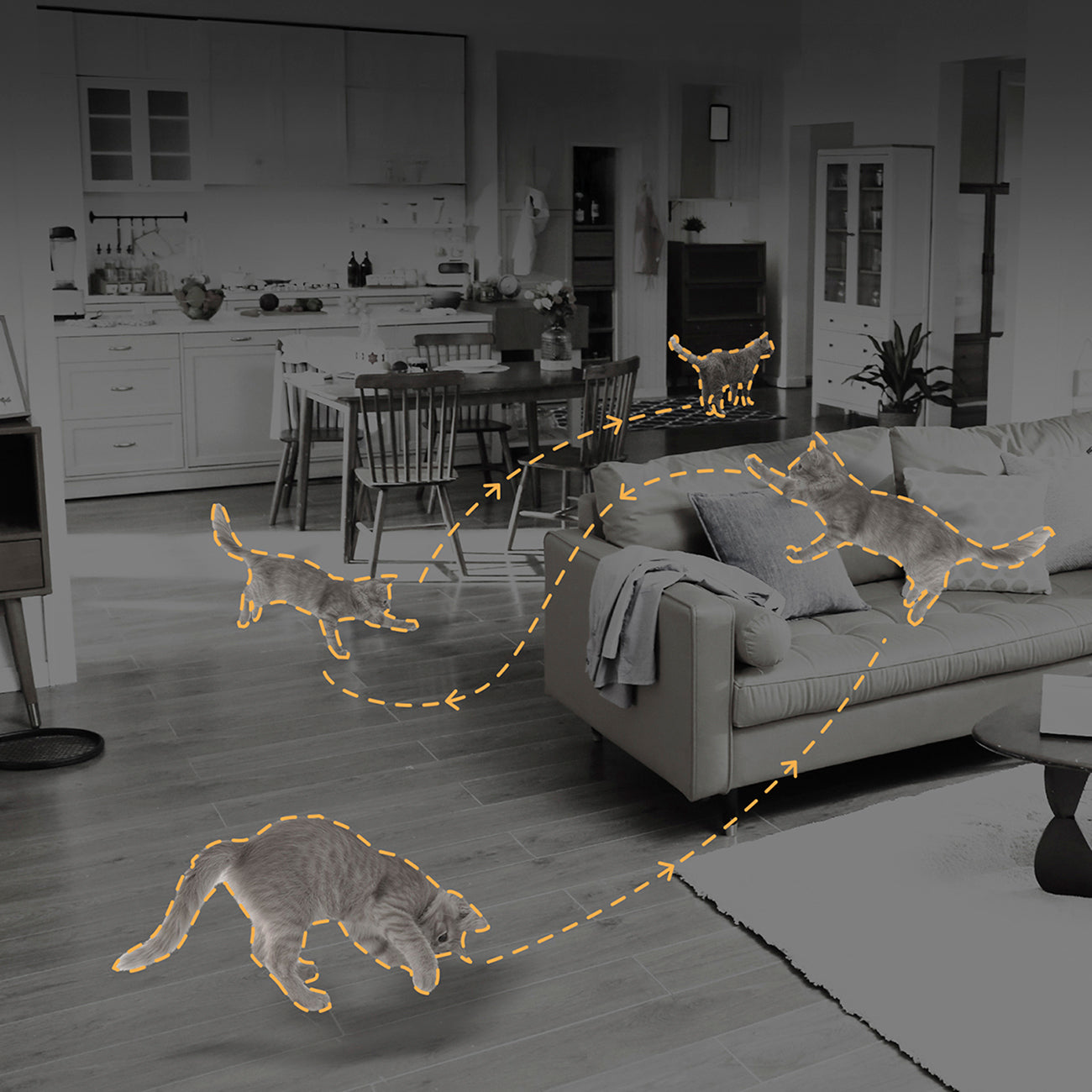 Dreame Navo Care 1 InCam vidaus kamera - balta -- Uncategorized