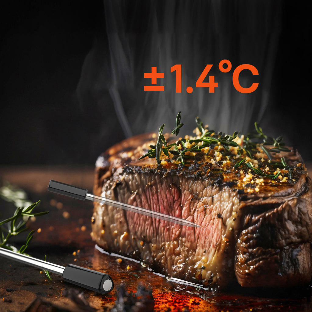 Meatmeet Pro išmanus virtuvės termometras su Bluetooth/WiFi programa, šildymo grilis, orkaitė, rūkytoja - juoda --...
