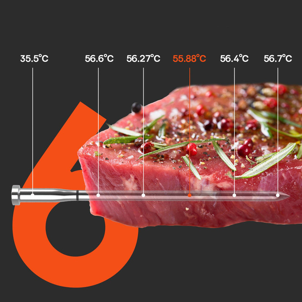 Meatmeet S Pro virtuvės termometras su Bluetooth programa gamintuvėms, orkaitėms, dūmintuams - pilkas -- Uncategorized