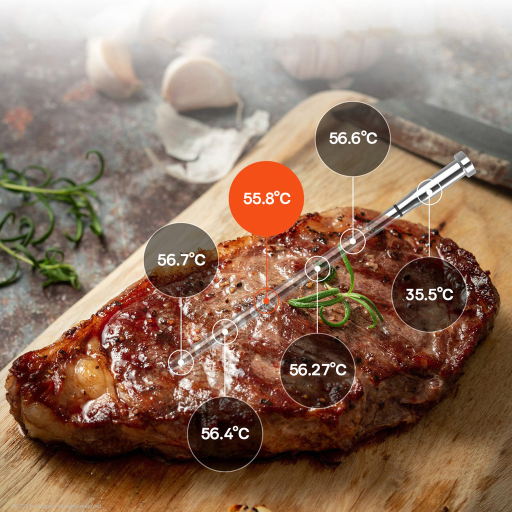 Meatmeet S Pro virtuvės termometras su Bluetooth programa gamintuvėms, orkaitėms, dūmintuams - pilkas -- Uncategorized