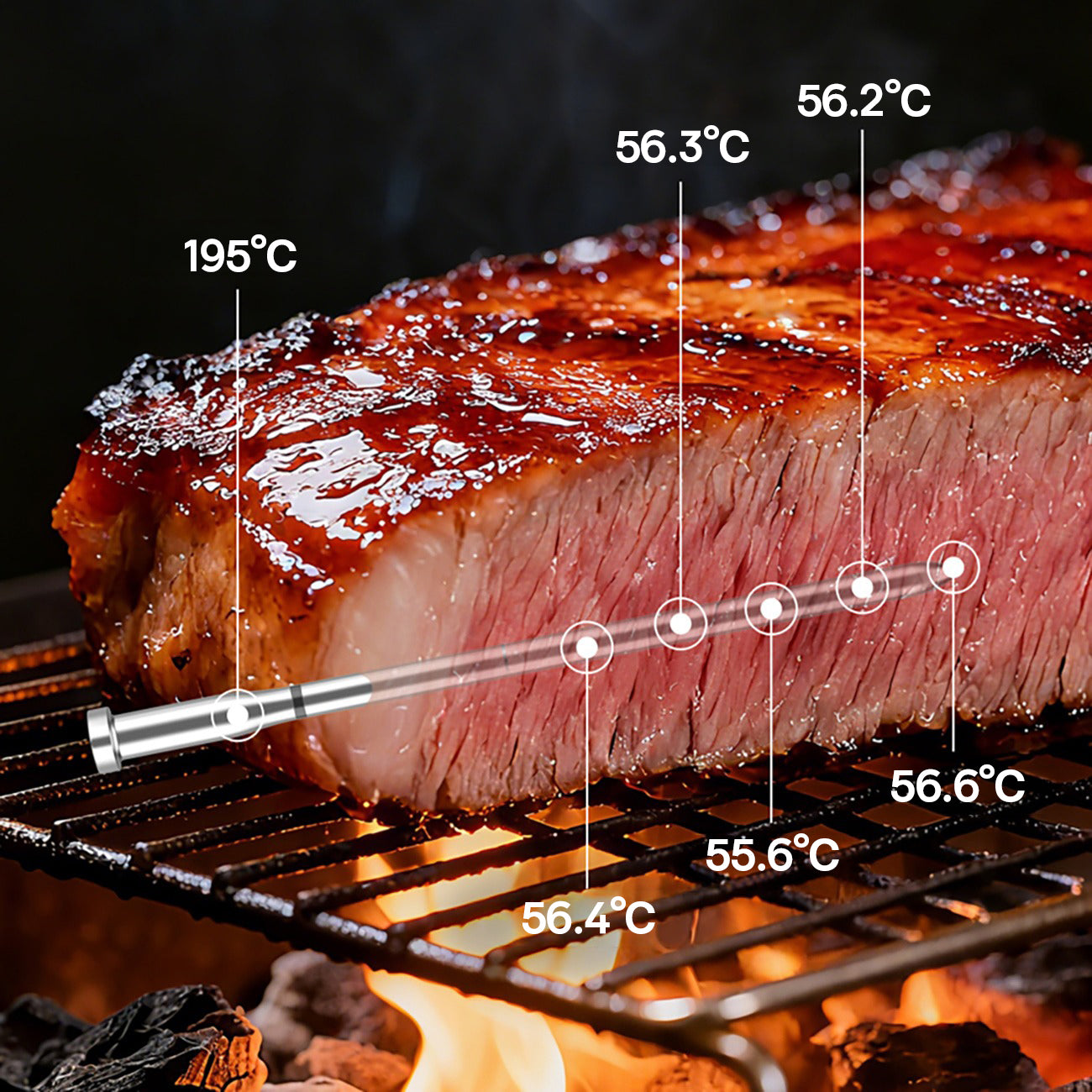 Meatmeet X Pro virtuvės termometras su Bluetooth/WiFi programa šildymui, orkaitei, rūkymo aparatui - juodas -- Uncategorized