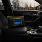 Wozinsky WSP-300 automobilio drėgnio ir kvapo sugertuvių 300g - juoda -- Uncategorized