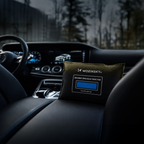 Wozinsky WSP-300 automobilio drėgnio ir kvapo sugertuvių 300g - juoda -- Uncategorized