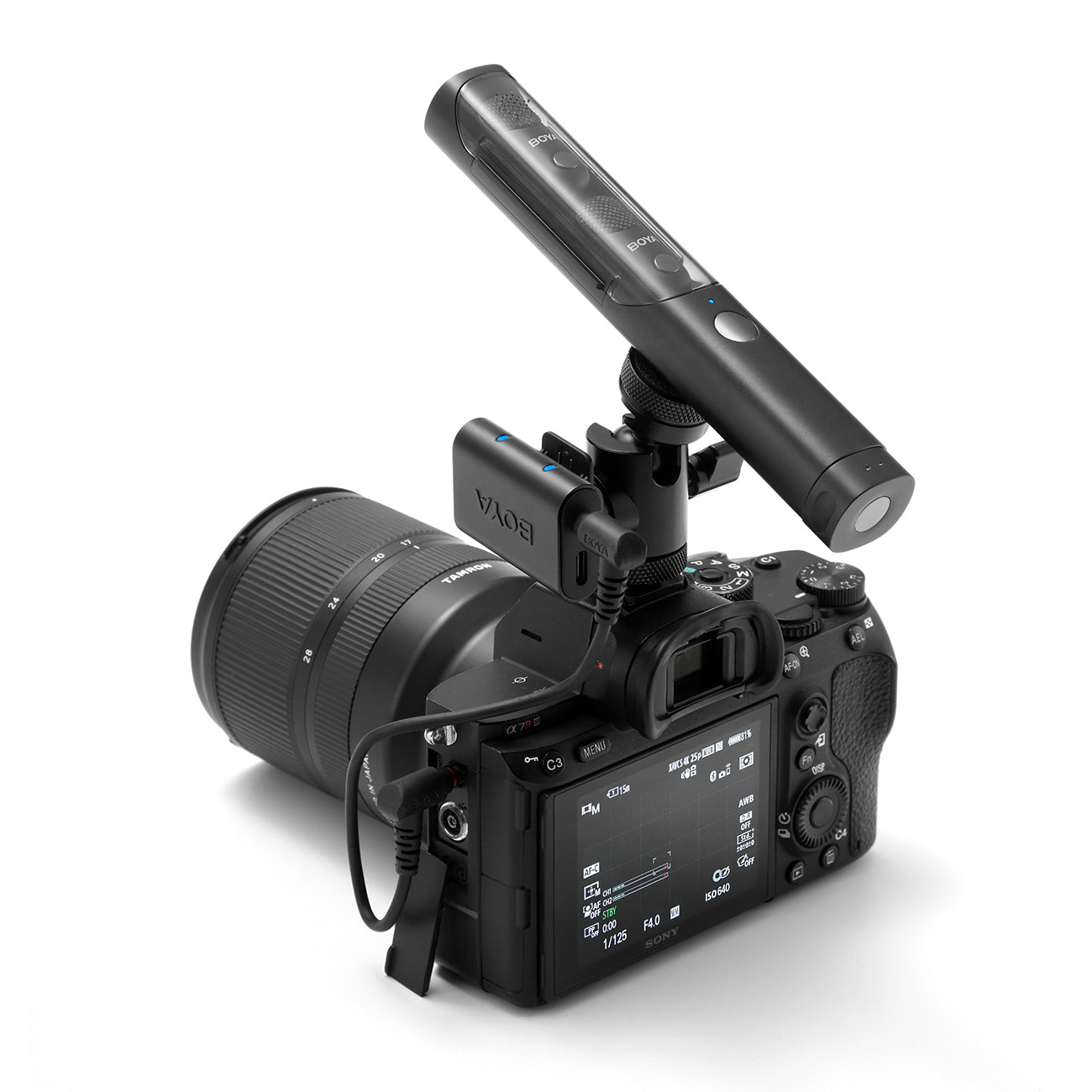 BOYA MAGIC-03 ​​Belaidis mikrofonas 2.4GHz USB-C - Juodas -- Microphones