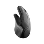 Wozinsky WWM-1076 Belaidis Vertikalus Ergonominis Pelė 3600 DPI - Juoda -- Gaming Accessories