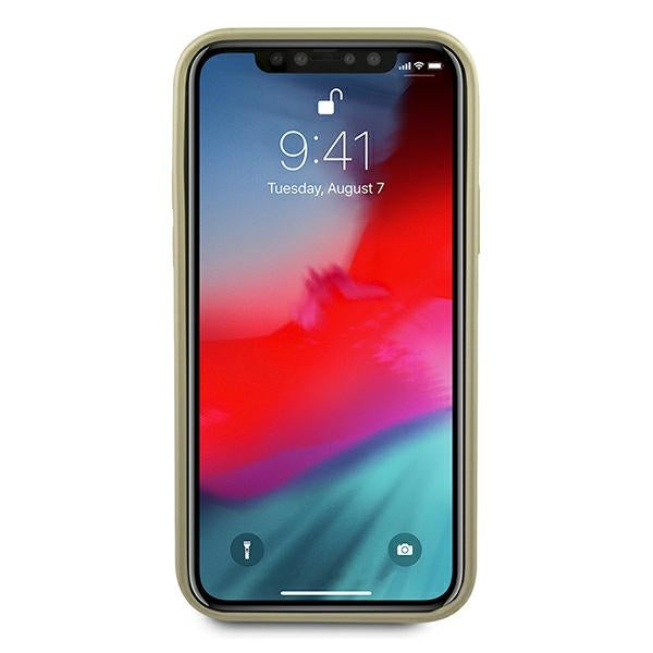 Guess Iridescent dėklas iPhone 12 Pro Max – auksinis -- iPhone 12 Pro Max